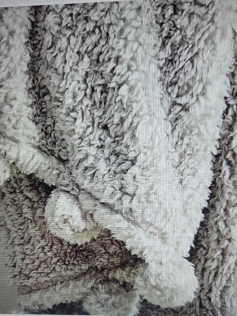 Pottery Barn Cozy Pom Pom Sherpa Throw